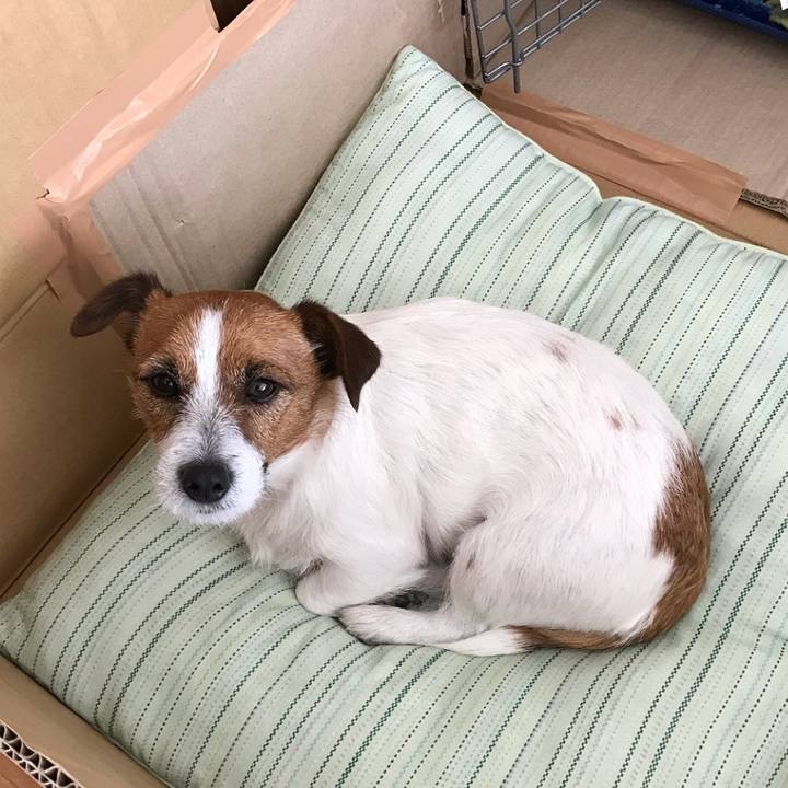 5ebf17e6 9c85 45eb 9785 f2f3f164e9ef 1510239381984