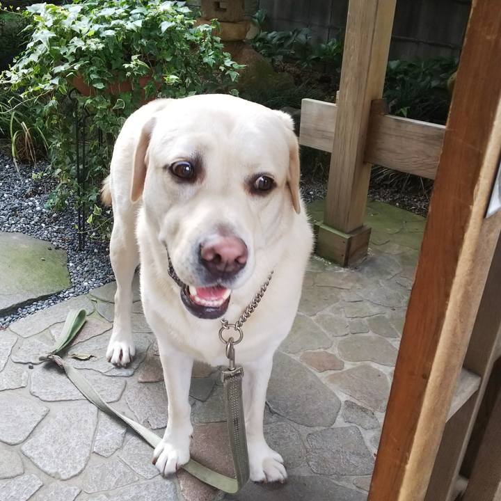 5ebf1fa5 944d 4729 b5d1 5cd0ae8e836d 1570064575521