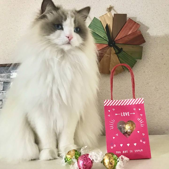 5ebf5aba 9082 4555 a9c8 63eb03a7f289 1581626257988