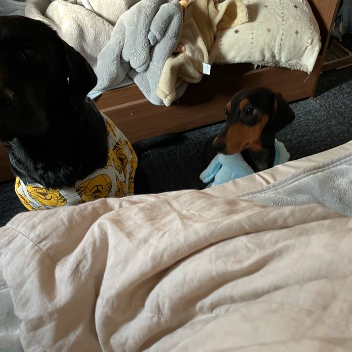 5ebf6556 8c1c 419e 8d58 a0f9a42cf51a 1640132057071