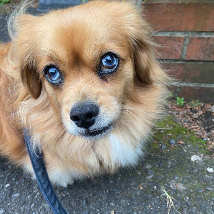 5ebfa06a 384a 446c 8681 c1f929c290f7 1583272065190