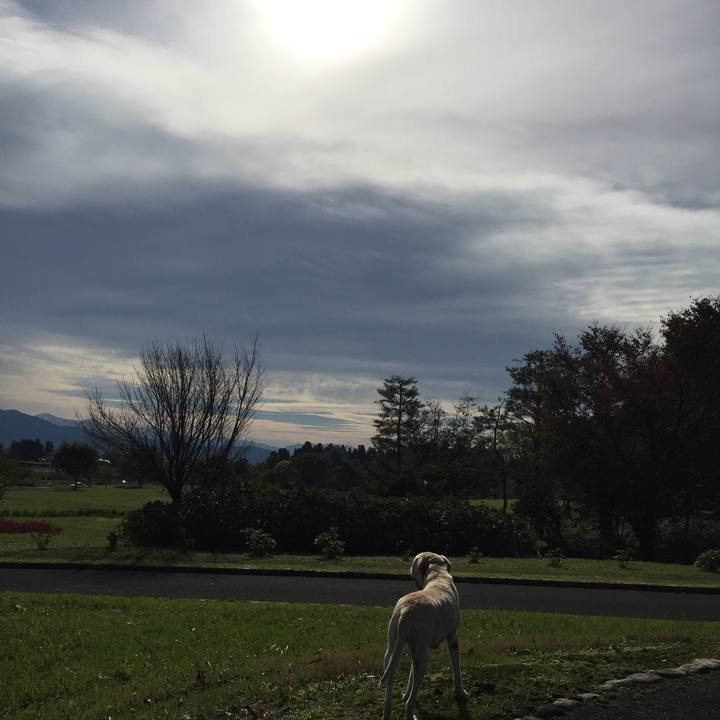 5ebfb414 0d4d 4c89 a831 166ced72d4ea 1567511246155