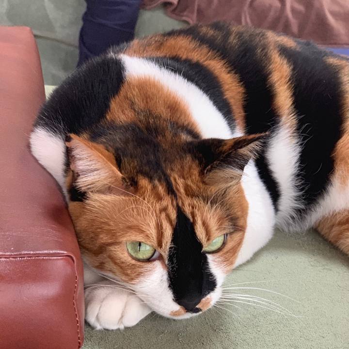 5ebfb977 2225 44d0 8874 1e530751f031 1559219609520