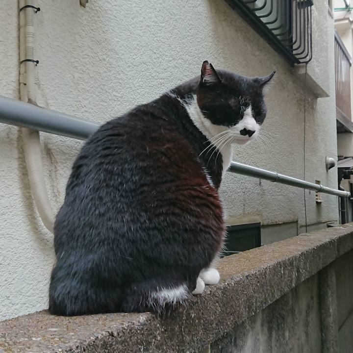 5ebfc6ba fcce 47fd bee7 2eb65aae6a0e 1527638709455