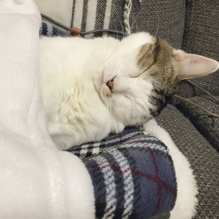 5ebff744 ac38 4c98 a2fc d17a0aee7cb5 1542521982738