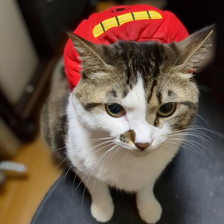 5ec01803 df6b 4b9b b1b4 da0a77d3f9c0 1672525541153