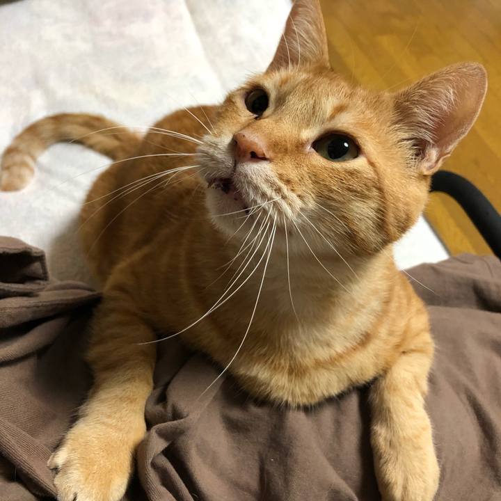 5ec0473c 55cd 4427 a275 96ee00755b97 1603464397325