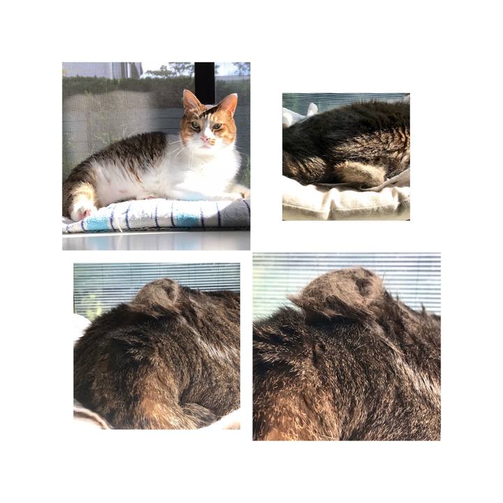 5ec0a43c 0cc8 42a2 af13 ea06aeca5dc0 1632490076589