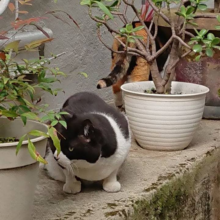 5ec0aa54 1cc0 4745 9a48 bbcc14602767 1652311295221