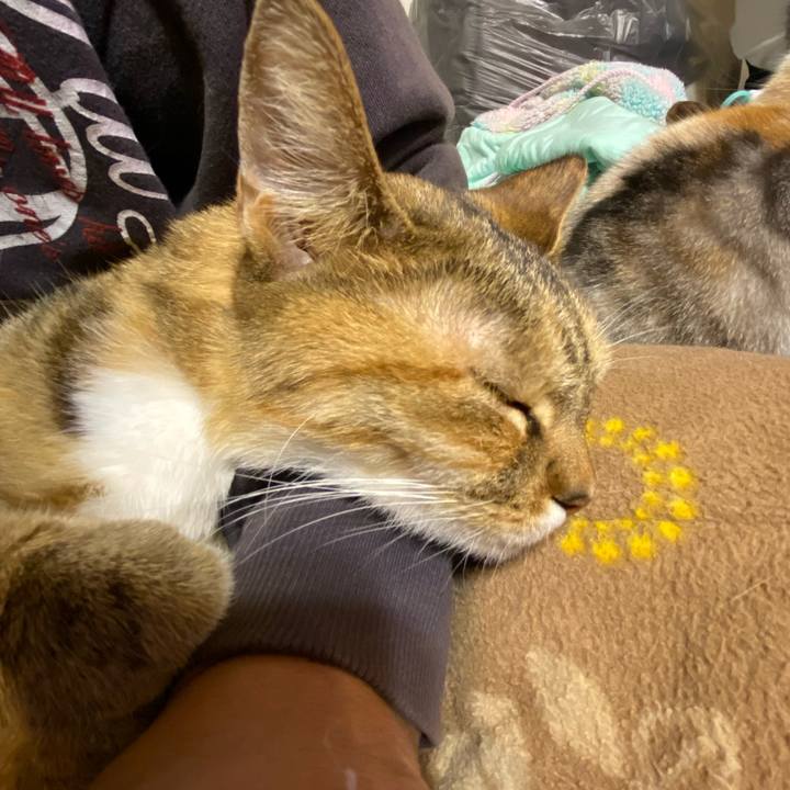 5ec0b996 7812 4376 a04d 8bb454e5abcd 1608638252211