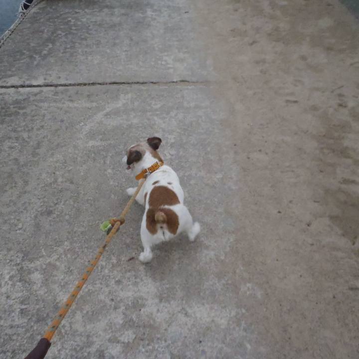 5ec0d770 bd69 4e15 aec0 65a36a674830 1544437334366