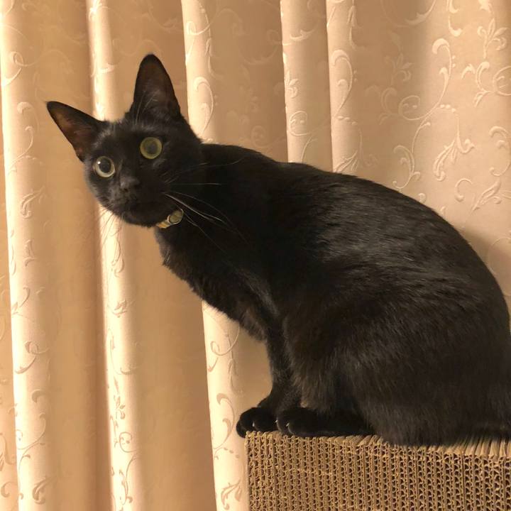 5ec0da0c 7675 4990 80d2 2fbadd00ac18 1520514948492