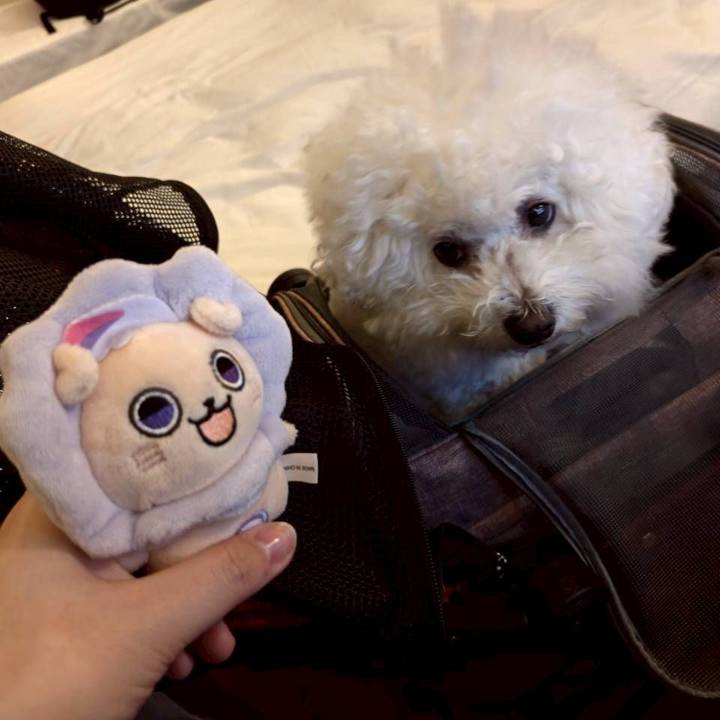 5ec117bd 8212 4b40 bc2d 2874427787be 1765748884444