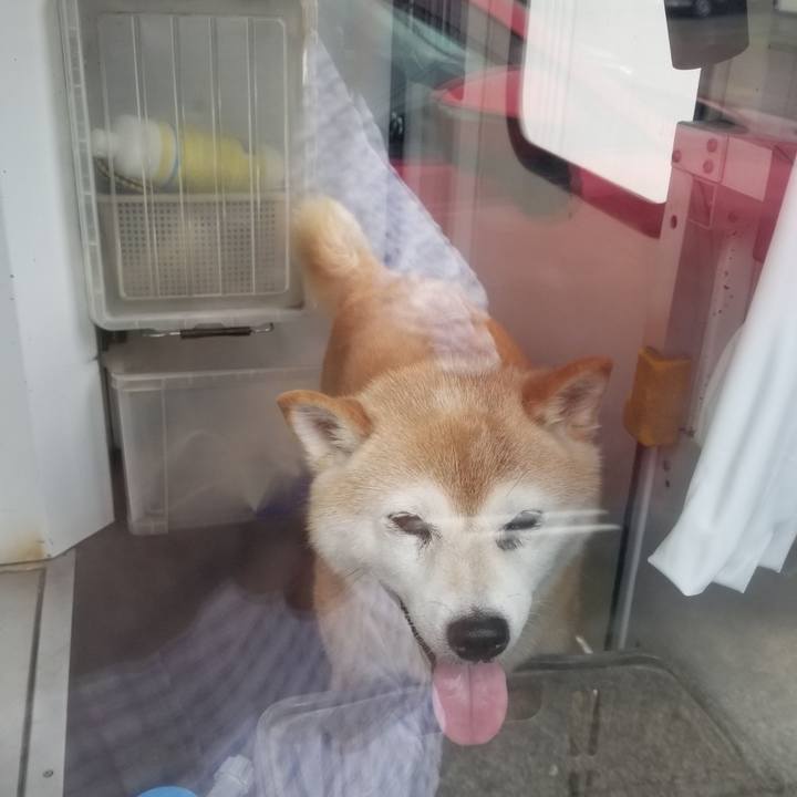 5ec14af0 1a99 4ace 9c82 57572655c09f 1721089631449