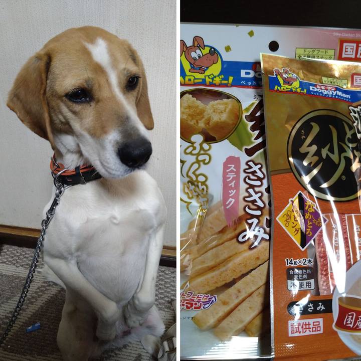 5ec1893d e07c 456c 9928 79f5c5a97336 1619420490439