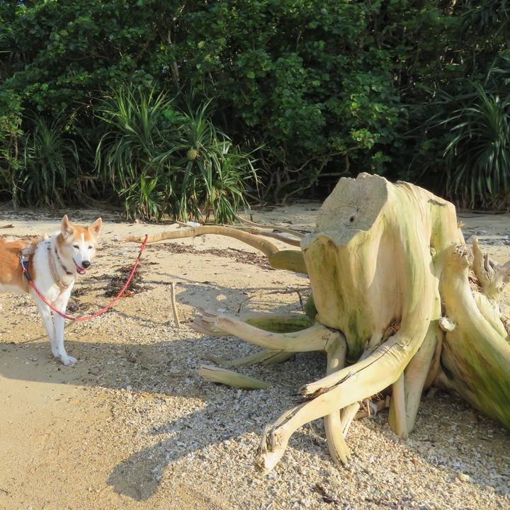 5ec18ab0 786c 4d72 a693 70f197e4edde 1552655331692