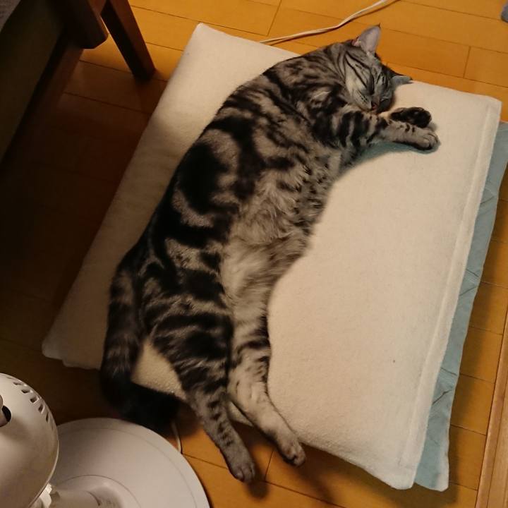 5ec18cc7 7208 44cf 995d 08636df9b9b0 1558818625293