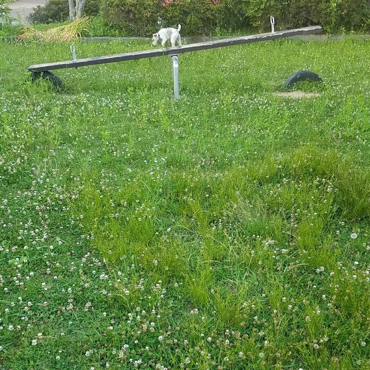 5ec19881 12ac 49bc a23a bbd41330bcec 1527343394602