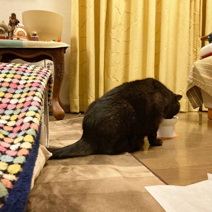 5ec1a983 daf5 488f 8bc0 4d7bf46cb64f 1609515727207