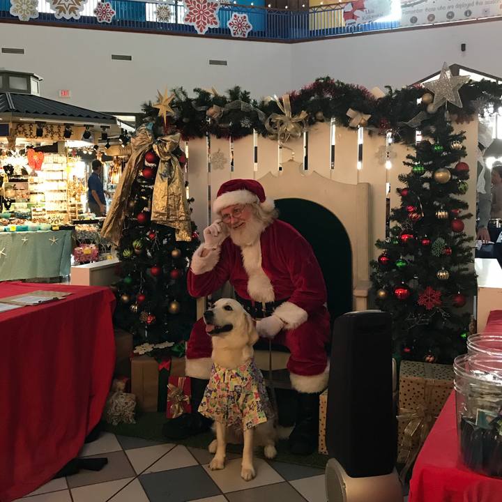 5ec1c180 1651 48f2 9966 cecc6c5e28d0 1513847834202