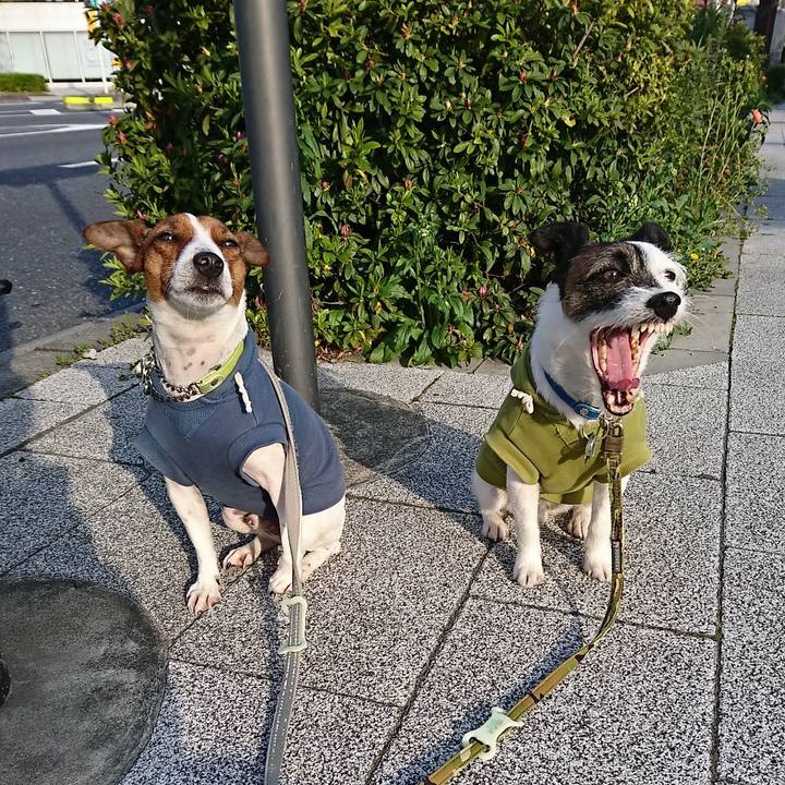 5ec1c82d e3d4 4985 aa62 8e92ed4c9752 1586212049816