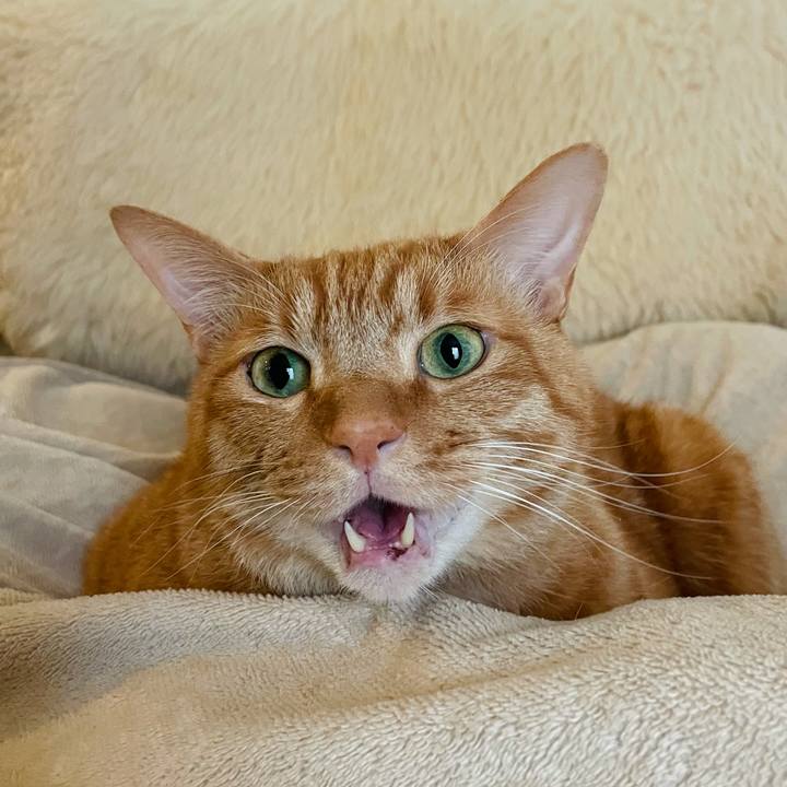 5ec1c910 3d3d 42e0 b844 0a2154f79c11 1637885375196