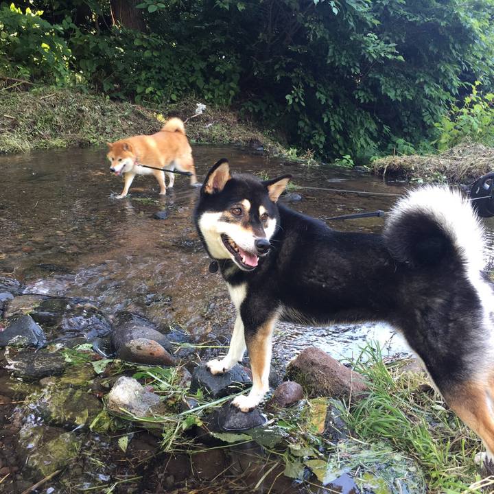 5ec218b3 f87b 4b6c 8251 42876e9ae8c9 1565437926224