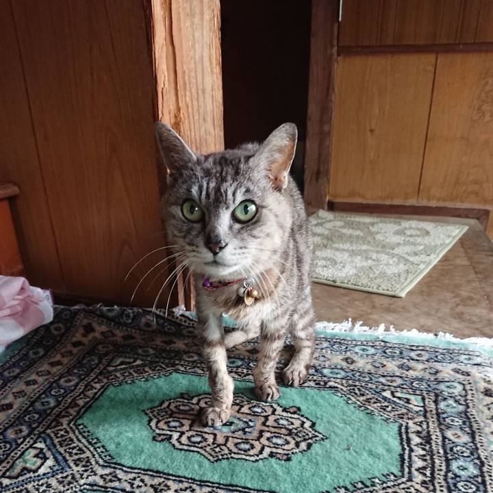 5ec21fd0 a2fe 4cde 9fd7 f751fd36cac9 1593556273407