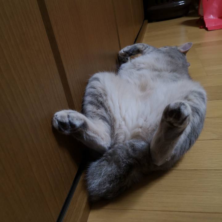 5ec2cf35 c746 45ab a4e1 53545e96356f 1559784738031