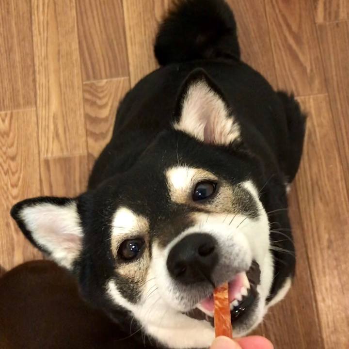 5ec2ee36 eefd 4150 9a1f 93dea18cd223 1557579446197