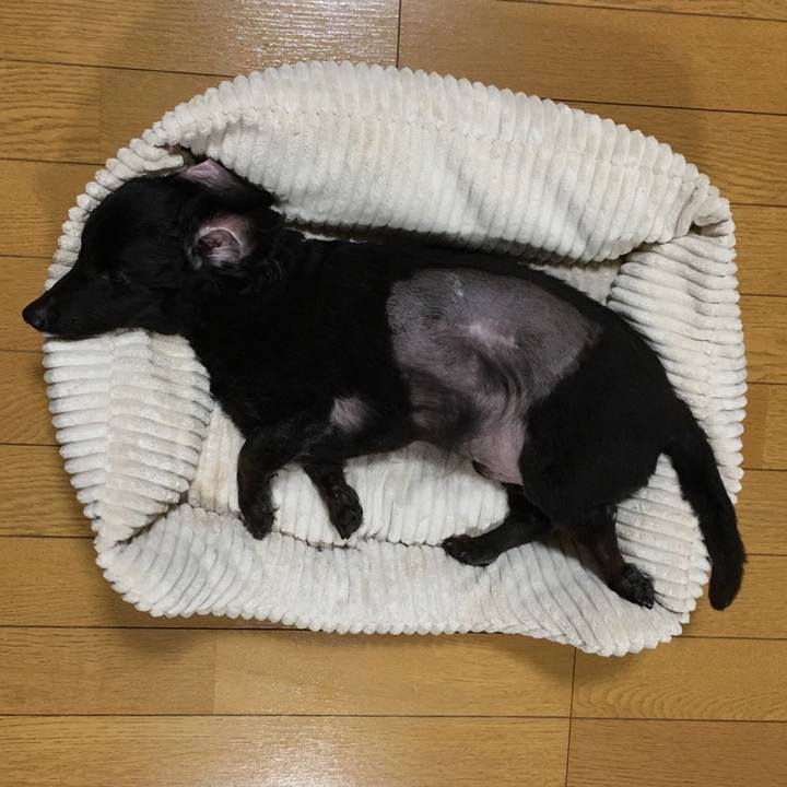 5ec30f81 3178 4d1d 9034 78579d16379b 1536414229395