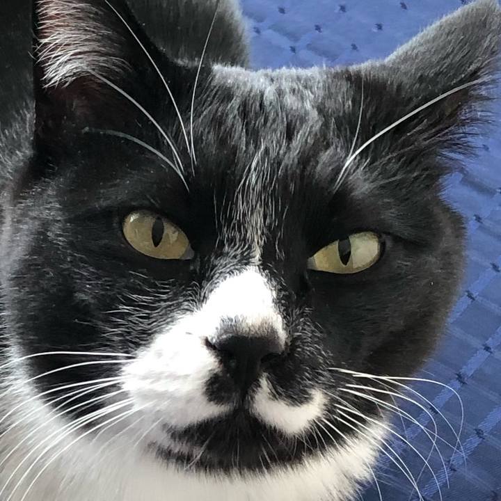 5ec3100b 1b4a 4f8a b268 ead51d596dd3 1642245335692