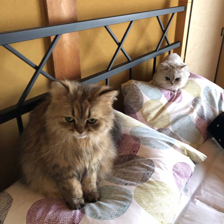 5ec329d3 0611 49d7 8a33 55da61ce40bd 1559134631900