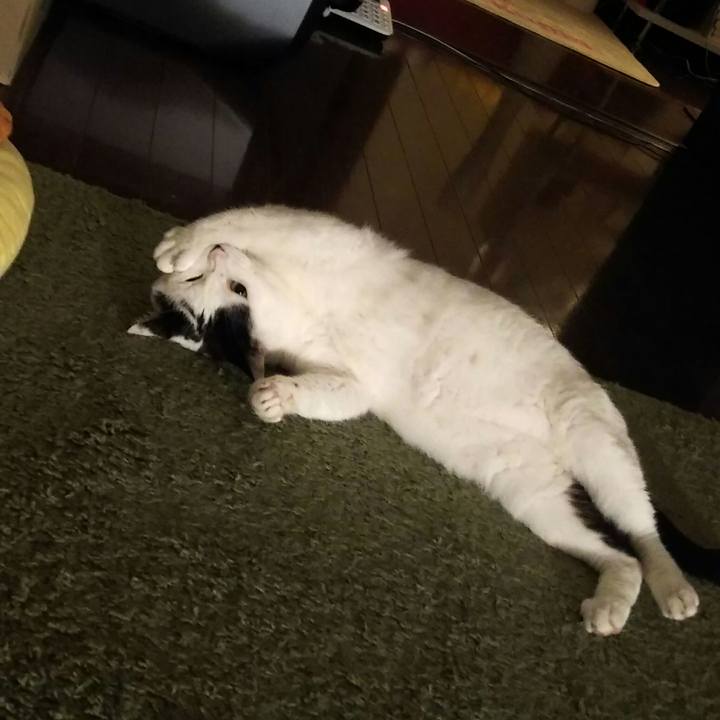 5ec35308 16e3 4818 adae a5645a47d4c2 1534665786680