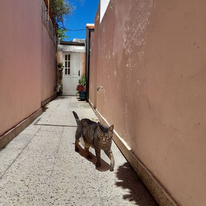 5ec35b00 d419 4601 9ae3 b67def39e4a8 1770460916462