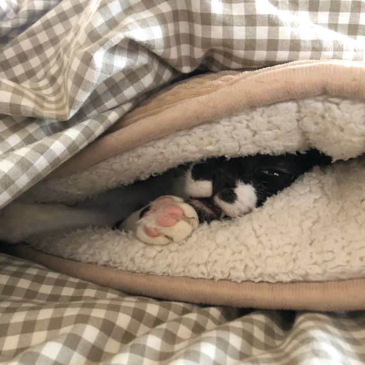 5ec3875a 630d 4c0e ba4e 568db298829f 1605282482699