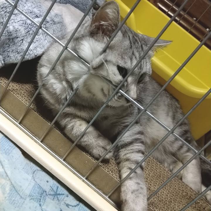 5ec38b56 7f26 4445 8b5e 06d36472e4d2 1598534487061