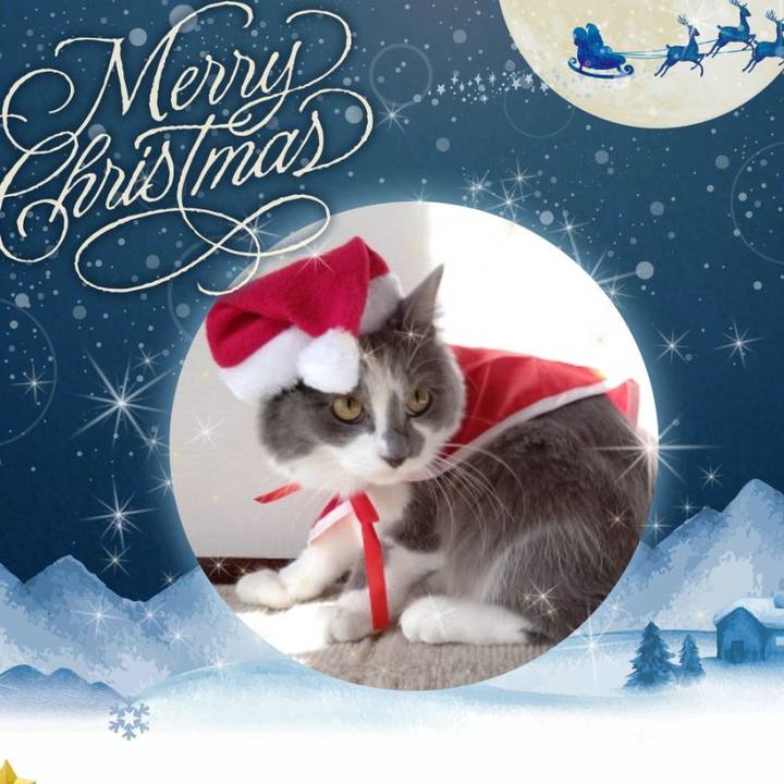 5ec3a899 a8af 4595 82cc 47830bb826be 1671845037253