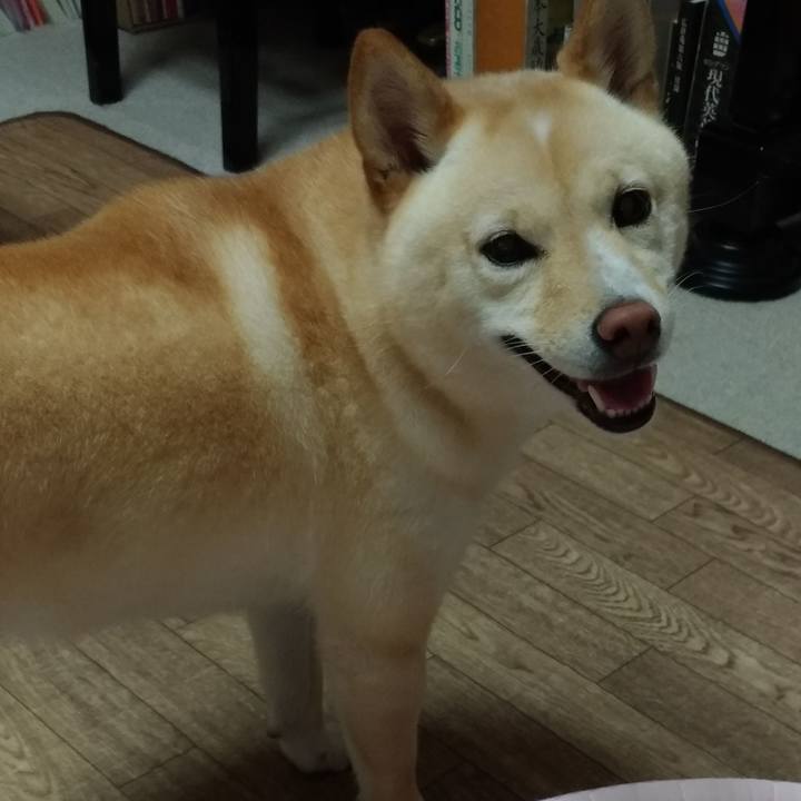 5ec3ab8d 25aa 4d93 a8ea 515e9b842c48 1594158484303