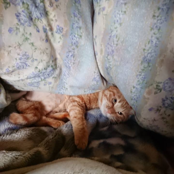 5ec3b11c 2ecd 4eb1 bb28 aae00e44814c 1654033315739