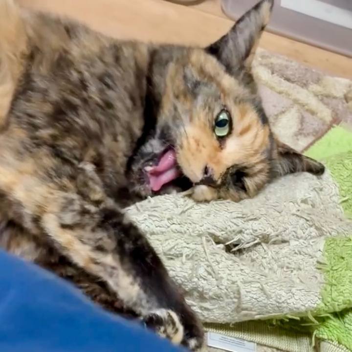 5ec3b80d 843f 4721 8691 f7fa3fe0c33c 1749240949793