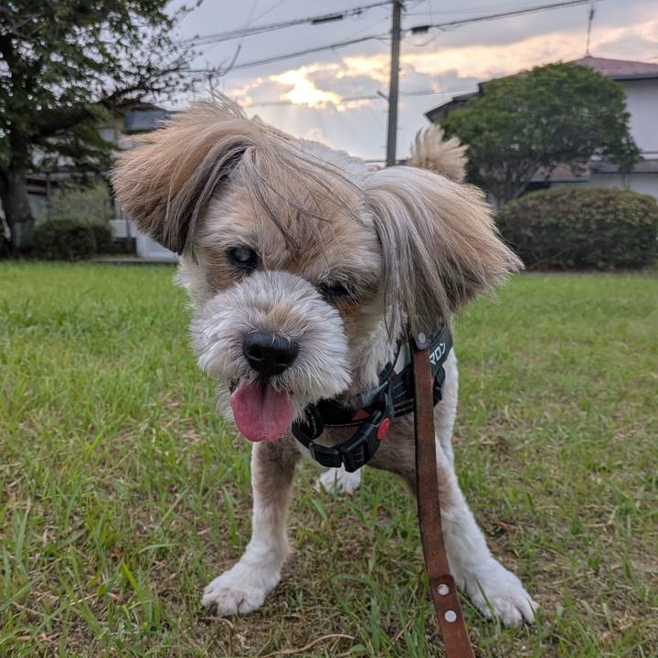 5ec3bee5 b8f3 44b5 ba00 4906cfc71a77 1752012133000