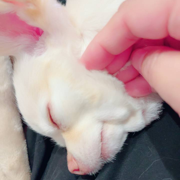 5ec3cb4a e79b 4266 a8cd f5aa21faf8b7 1684836808193