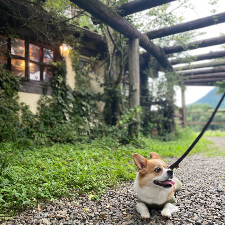 5ec3d015 e35c 4cf2 811a 0a5a93c155fa 1662182199432