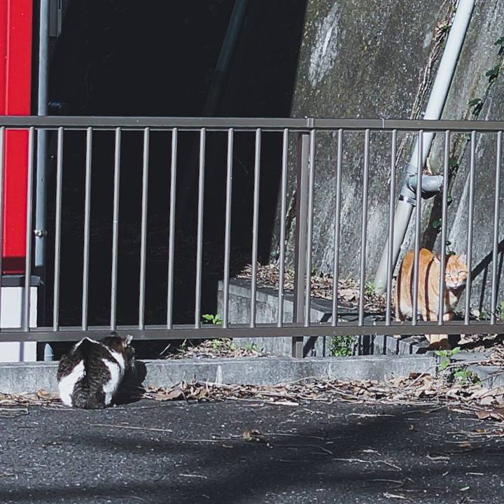 5ec4039c 16fc 4be5 b430 6ee514af0822 1542349981539