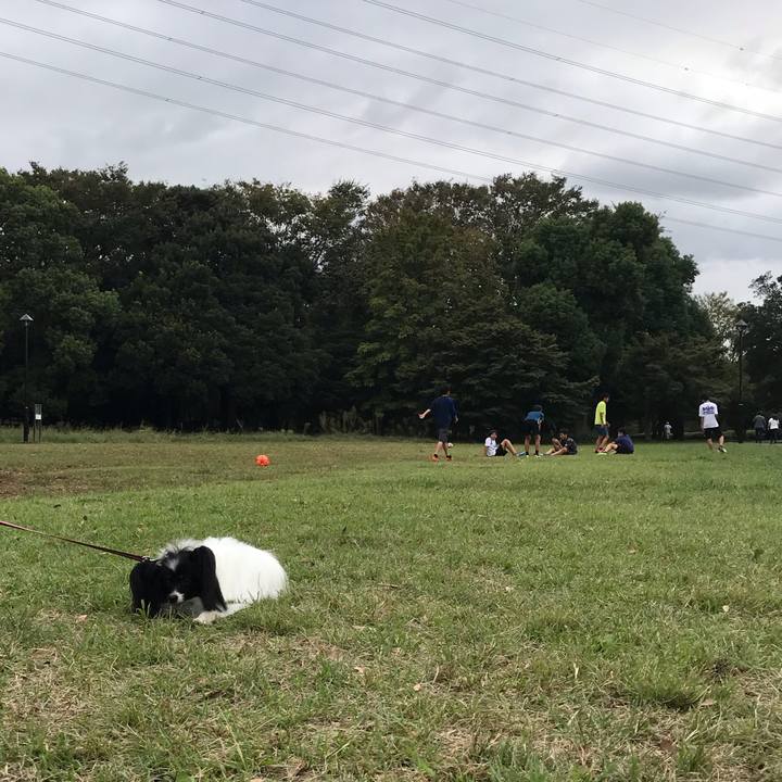 5ec43291 1214 4ab2 9be4 7063e3178670 1538999466234