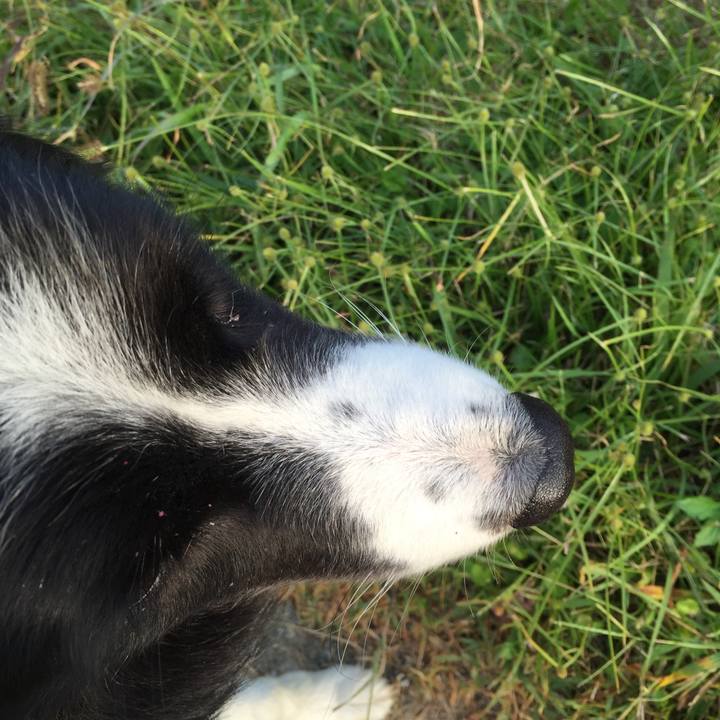 5ec44c2e 1bc0 4c58 8dc9 c8ac8d0311e5 1539731960248