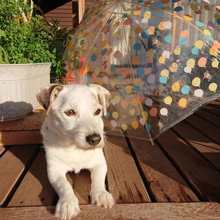 5ec4679c 9389 47c9 ae03 10eb6e0cb4cb 1575332911747