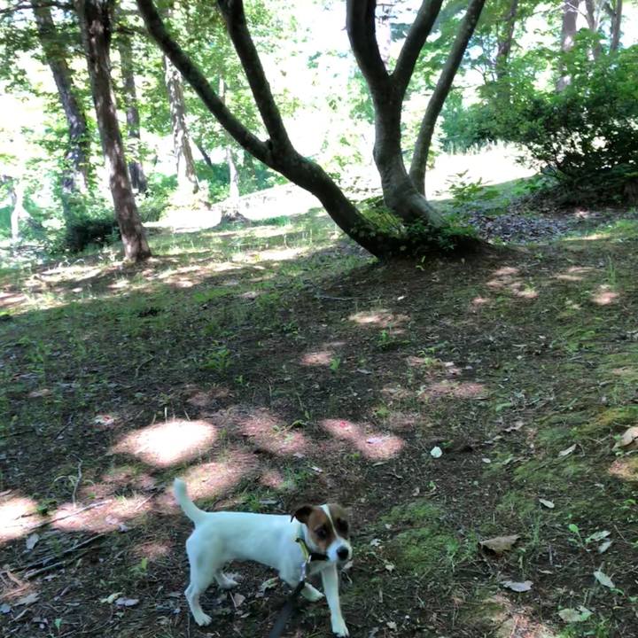 5ec46d63 95f7 4c37 9386 1f33517887a0 1529405475635