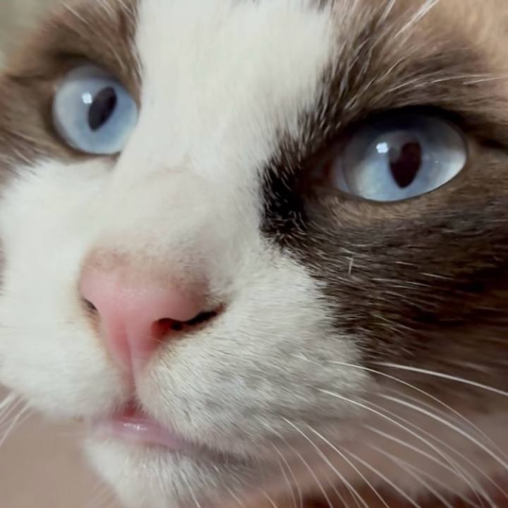 5ec4cb4e 7657 41cd bd9d c946befdc8df 1762834203471